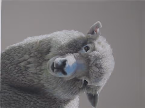 Sheepish (pastel on paper / framed)