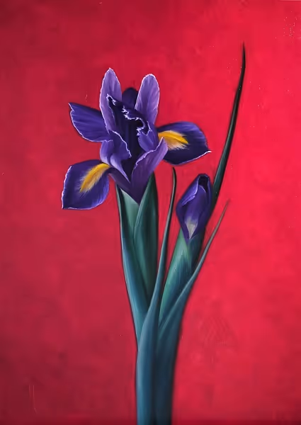 Vibrance Oil on aluminium 400x300