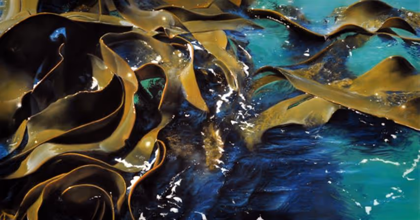 Example artwork of this artist