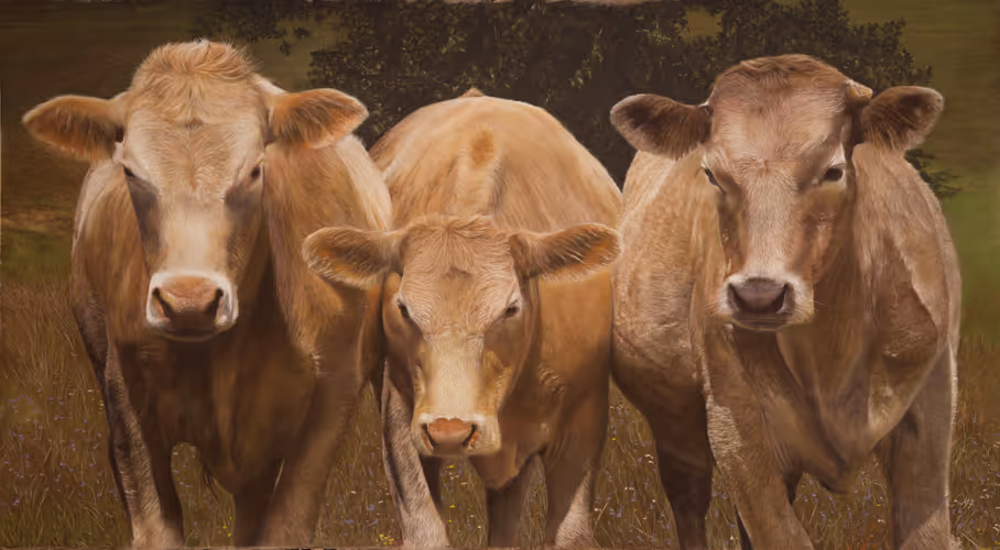 Stand Off (pastel on fine art paper 1240 x 800mm framed)