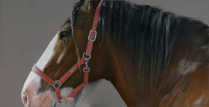 'Ted' 560 x 260mm, pastel