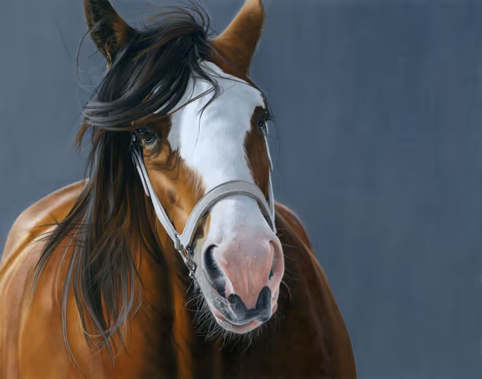 'Centre of Attraction' - pastel - 610 x 360mm