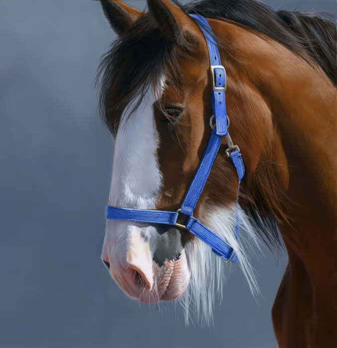 Clyde with Blue (pastel, mounted size 410 x 420mm)