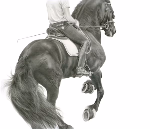 Pirouette (graphite on fine art paper, 390 x 460mm u/f)