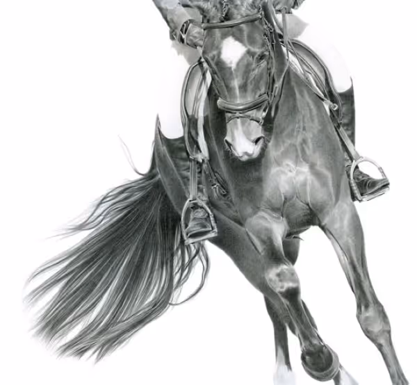 Warm Up (graphite on fine art paper)