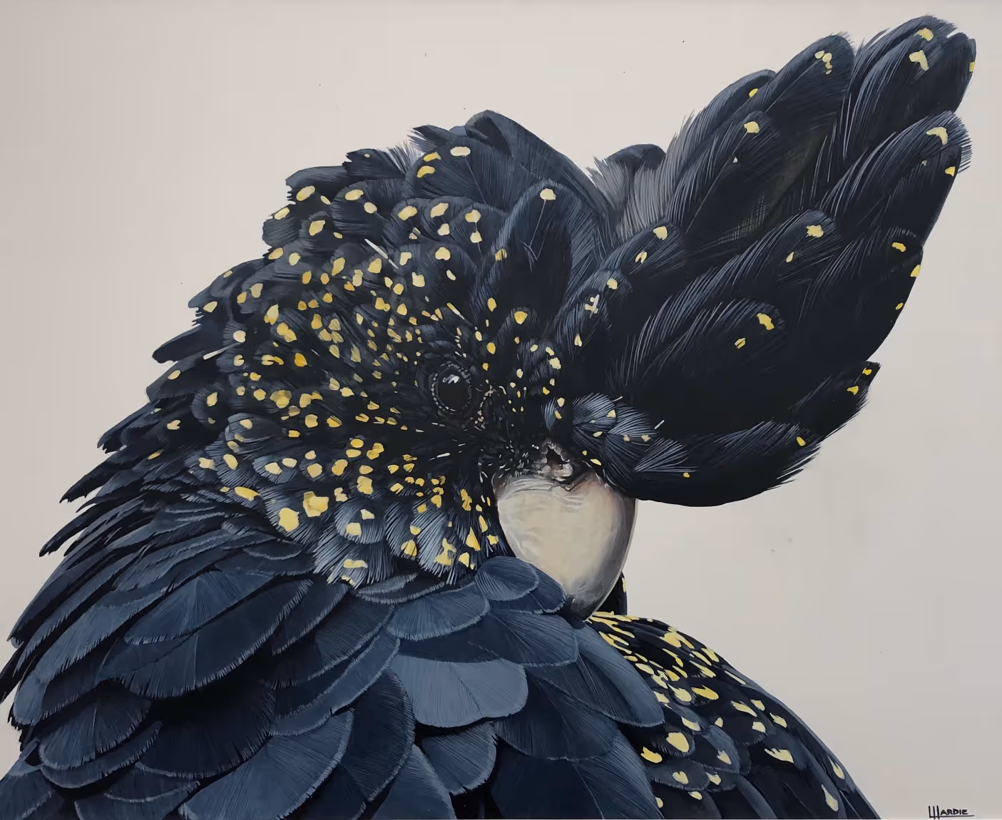 Black Cockatoo (acrylic on board)