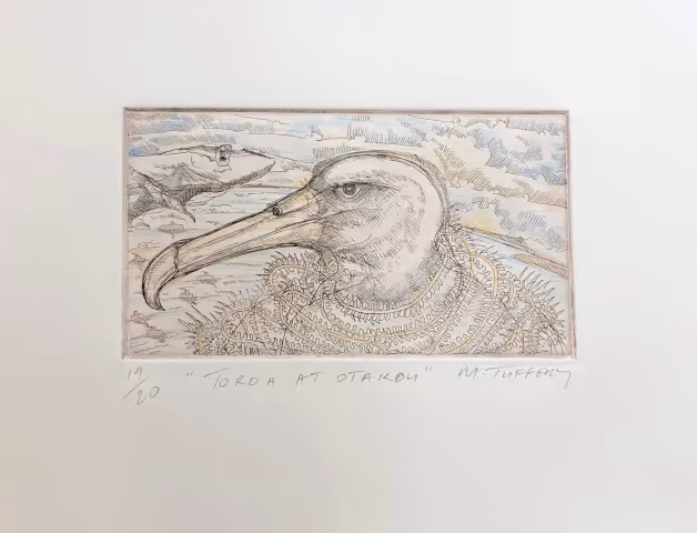 Toroa at Otakou (handcoloured etching, ed 19/20), 2012