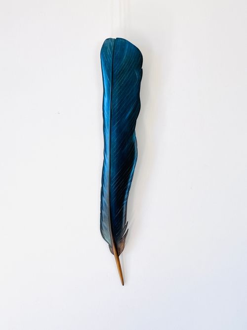 Matai Tui Tail Feather 63 x 10 x 3cm