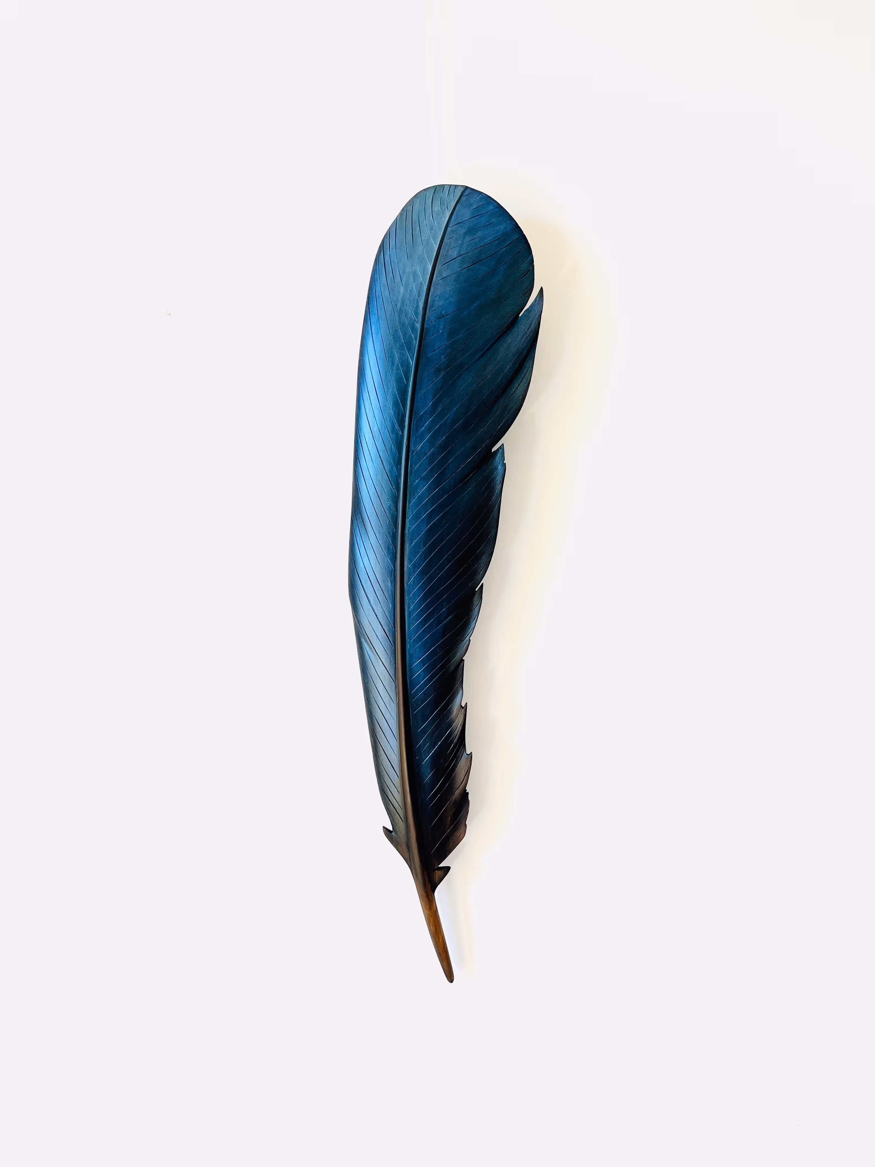Matai Tui Wing Feather 59 x 13 x 3cm