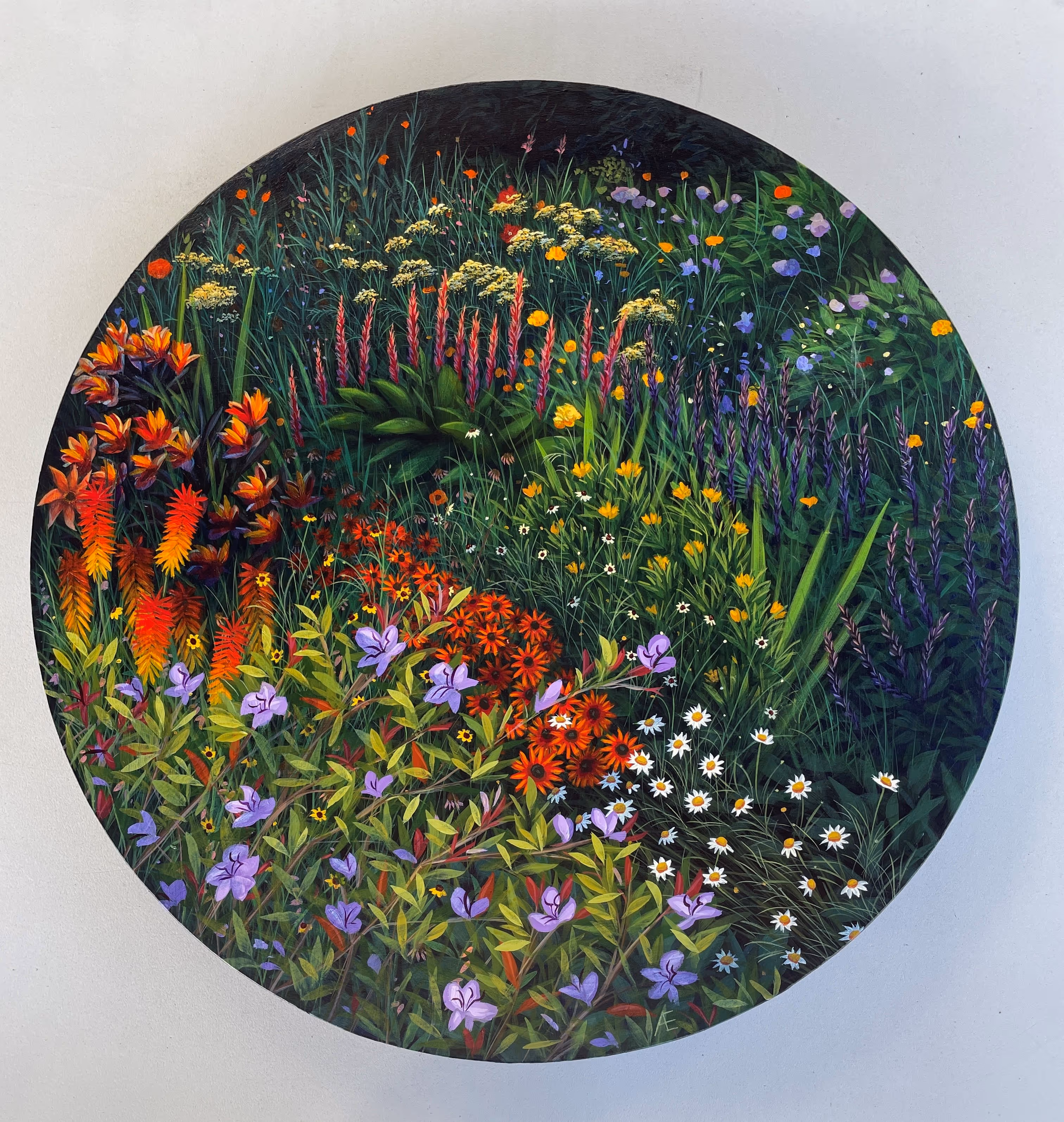 'Pursuit of Daphne' 500mm round 35mm depth on cradled panel