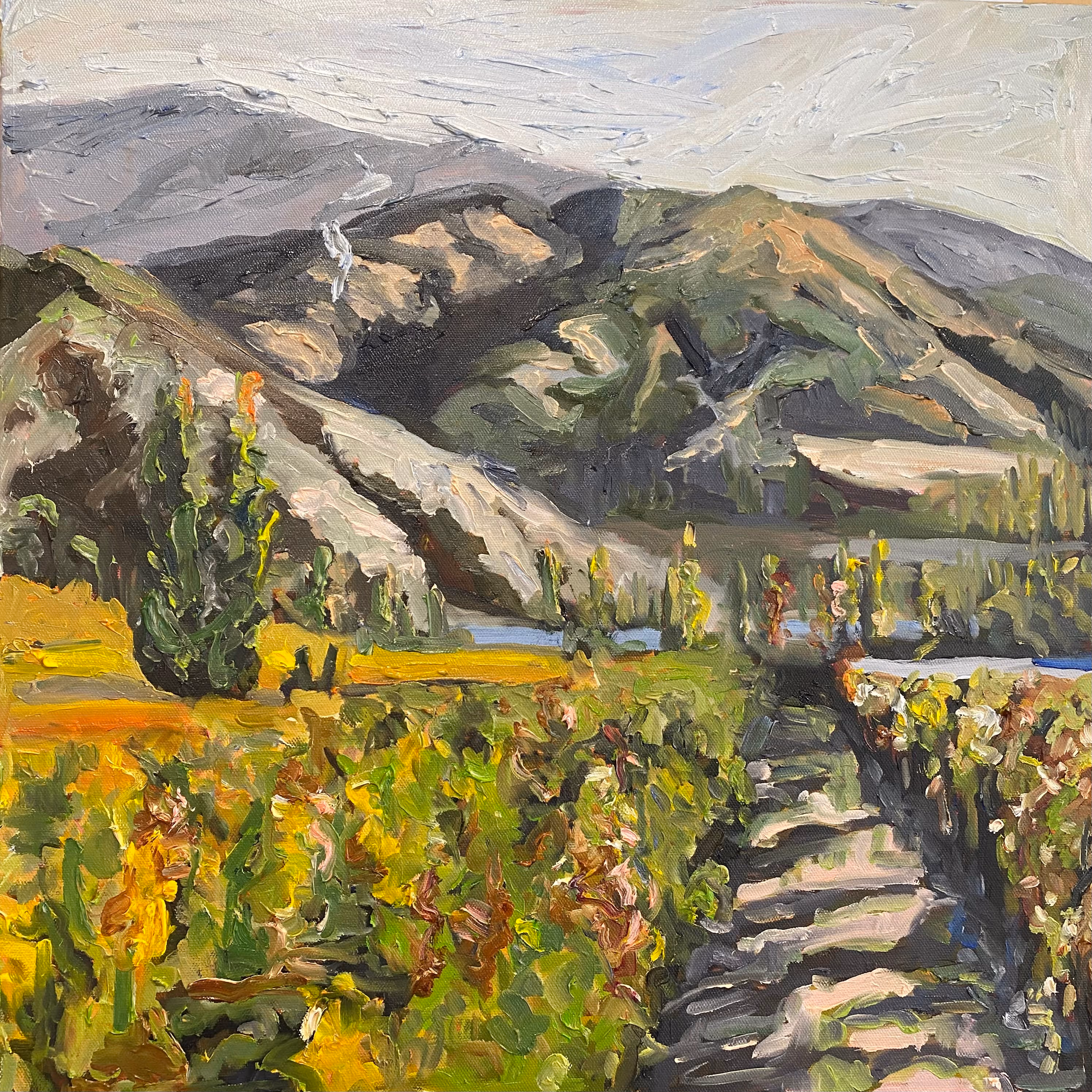 'Central Otago Vineyard' oil on canvas, 510 x 510mm