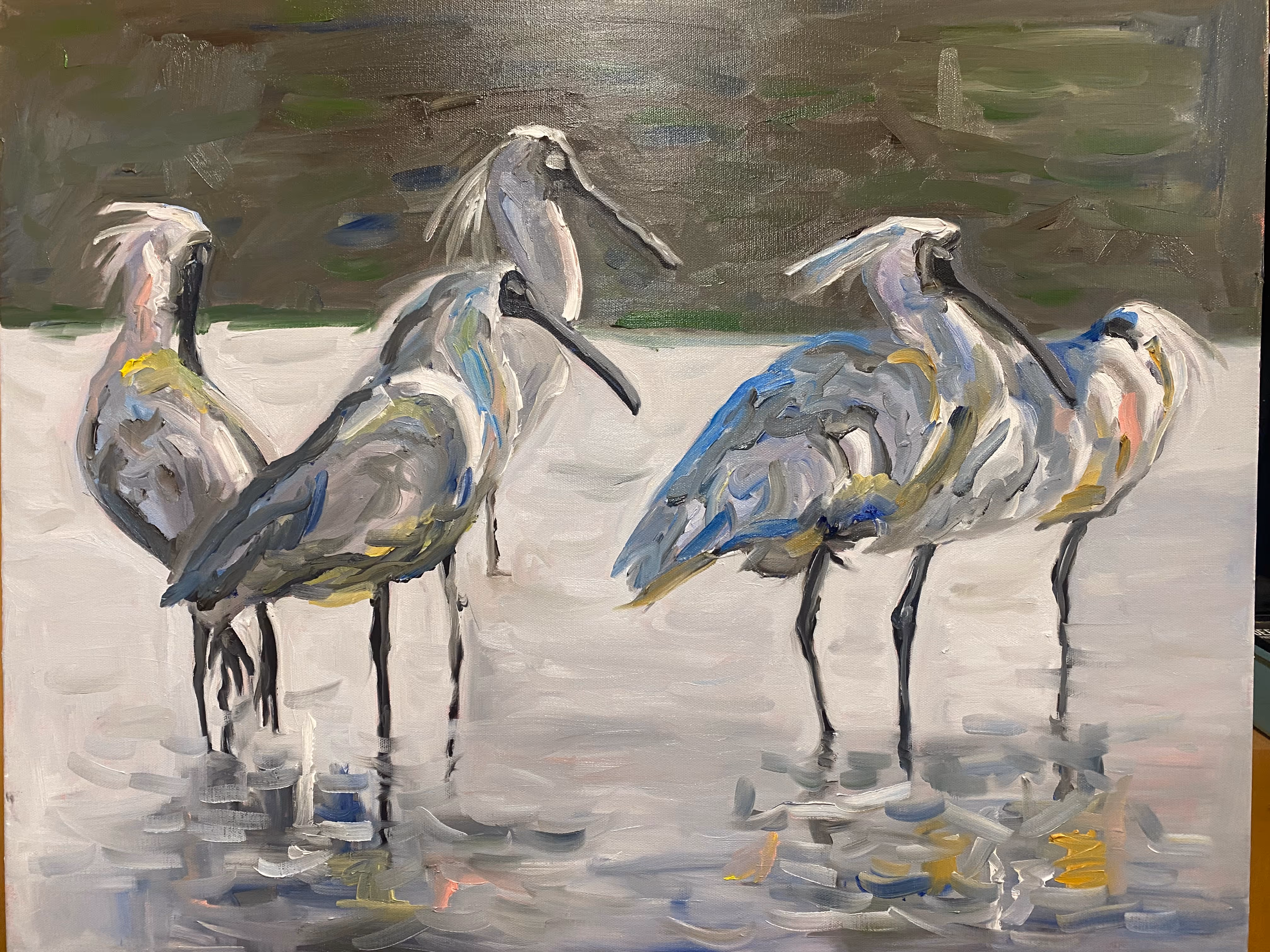 'Spoonbills' (Oil on Canvas, 710 x 560mm)