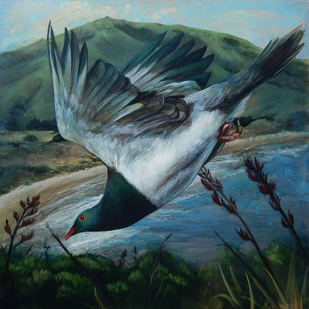 'Kereru' acrylic on aluminium, 300 x 300 mm plus frame 