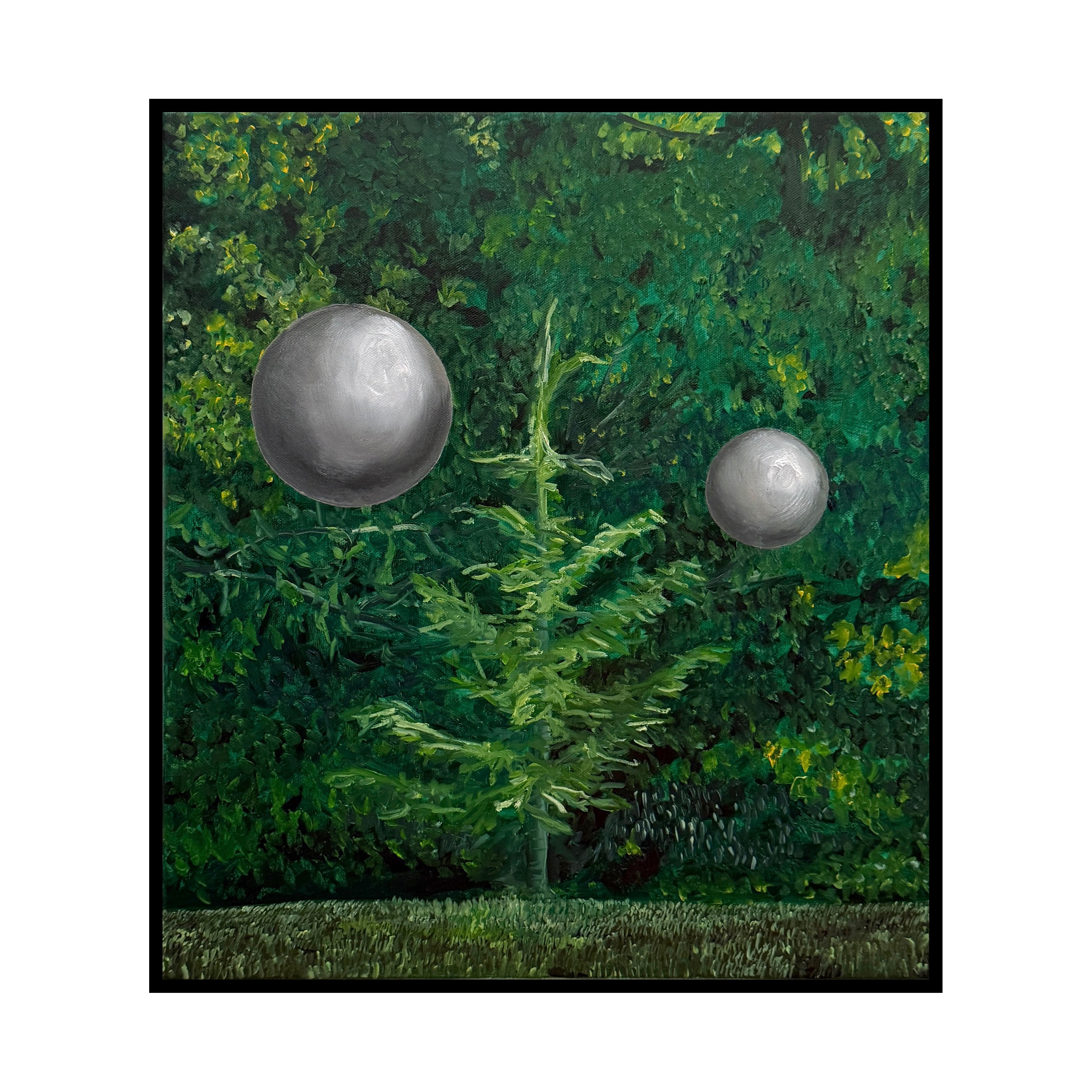 Michael Greaves - Several senses collected. Oil on canvas. (Framed) 41.5x47cm. 2025. 