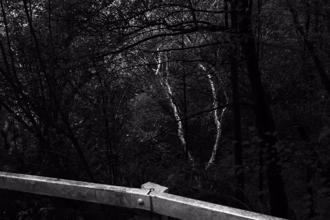 Marc Doesburg "Untitled" photograph 