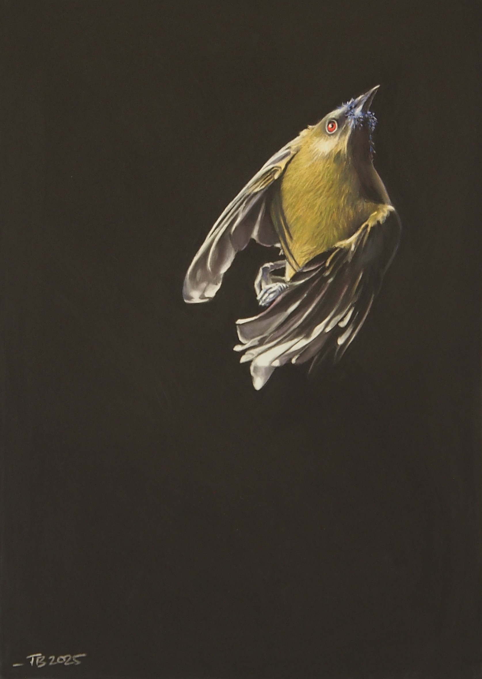 'Crescendo' pastel pencil on pastel matt, 250 x 350 mm plus frame 
