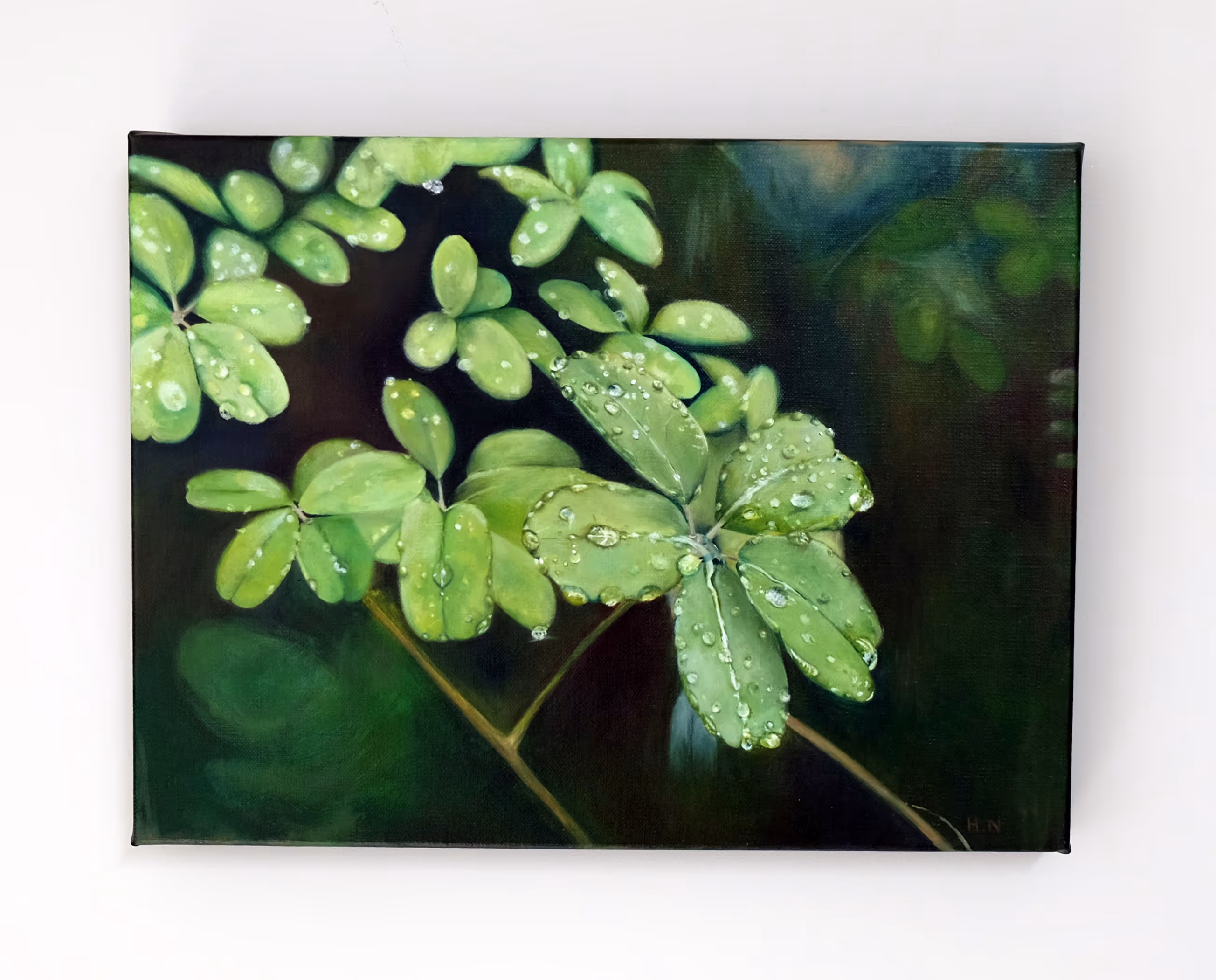 'Rain Beads on Akebia Quinata Vine', oil on linen 440 x 350mm