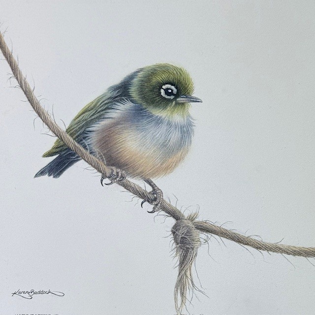 “SilvereyeVII” oil on panel (white ornate frame) approx. 330 x 330 mm framed