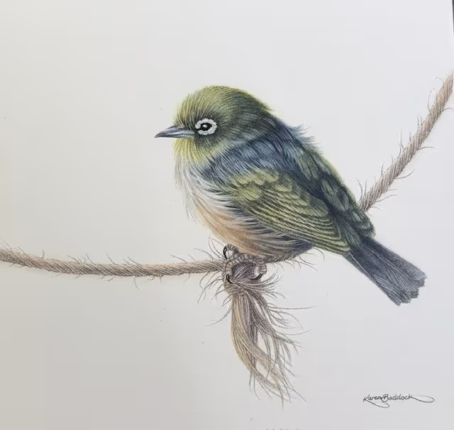 Little Tauhou V - oil on panel 330 x 330 mm framed