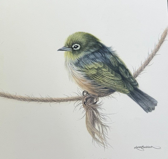 Little Tauhou V - oil on panel 330 x 330 mm framed