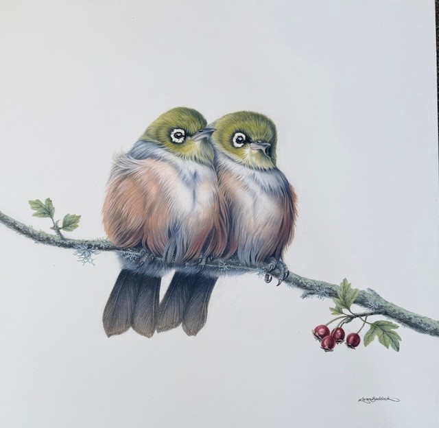 'Hawthorn Silvereyes" oil on panel 630 x 640 mm framed