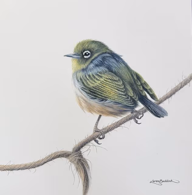 'Little Tauhou IV" oil on panel, 330 x 330mm framed