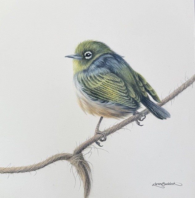 'Little Tauhou IV" oil on panel, 330 x 330mm framed