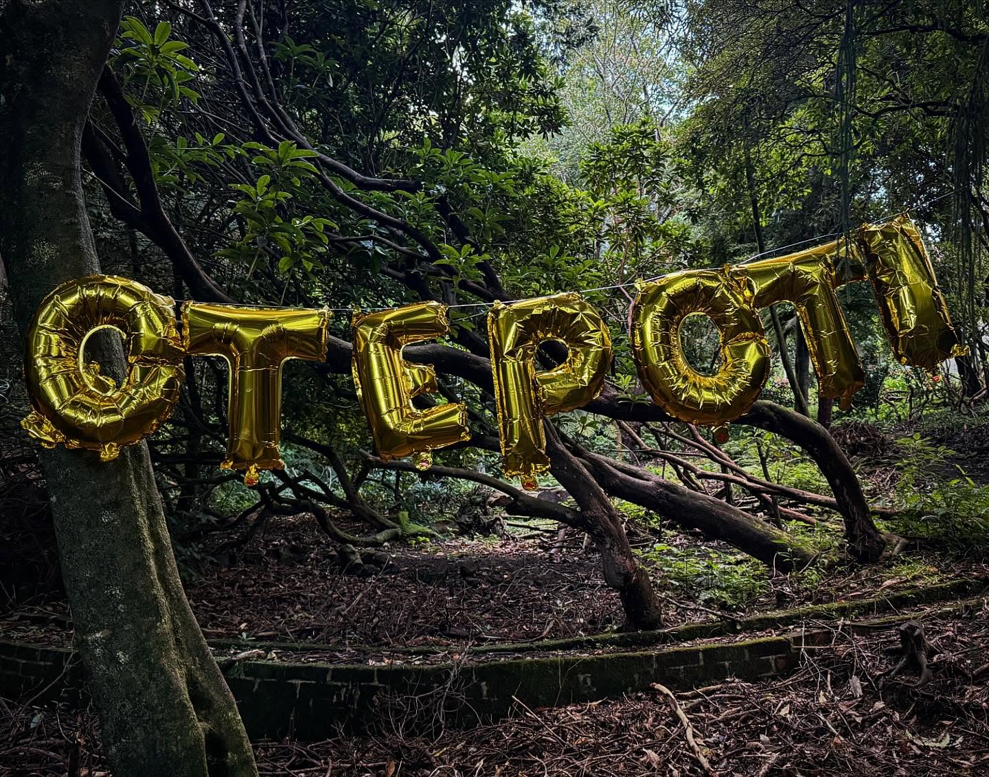 Example artwork of this artist