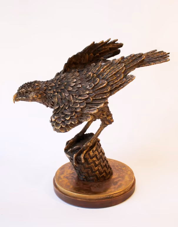 Kahu/Poutama 2026  bronze edition .1/12.   This is 50cm high X 50cm long X 30cm wide