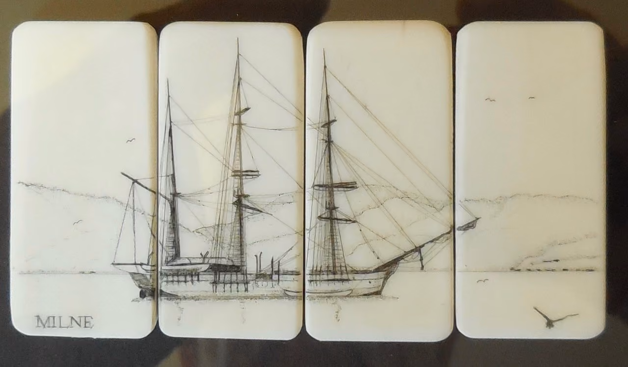 "Splendid" scrimshaw on recycled 100 year old piano keys (framed 23 x 18 cm)