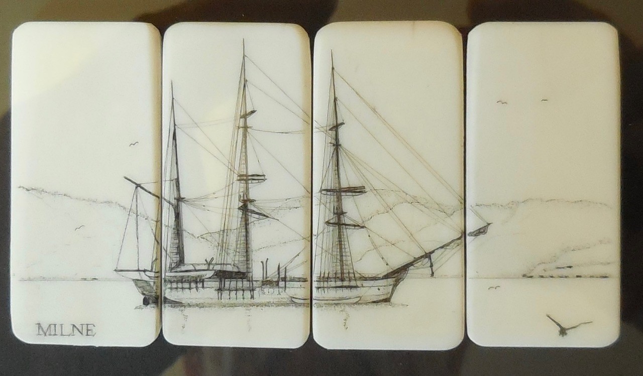 "Splendid" scrimshaw on recycled 100 year old piano keys (framed 23 x 18 cm)