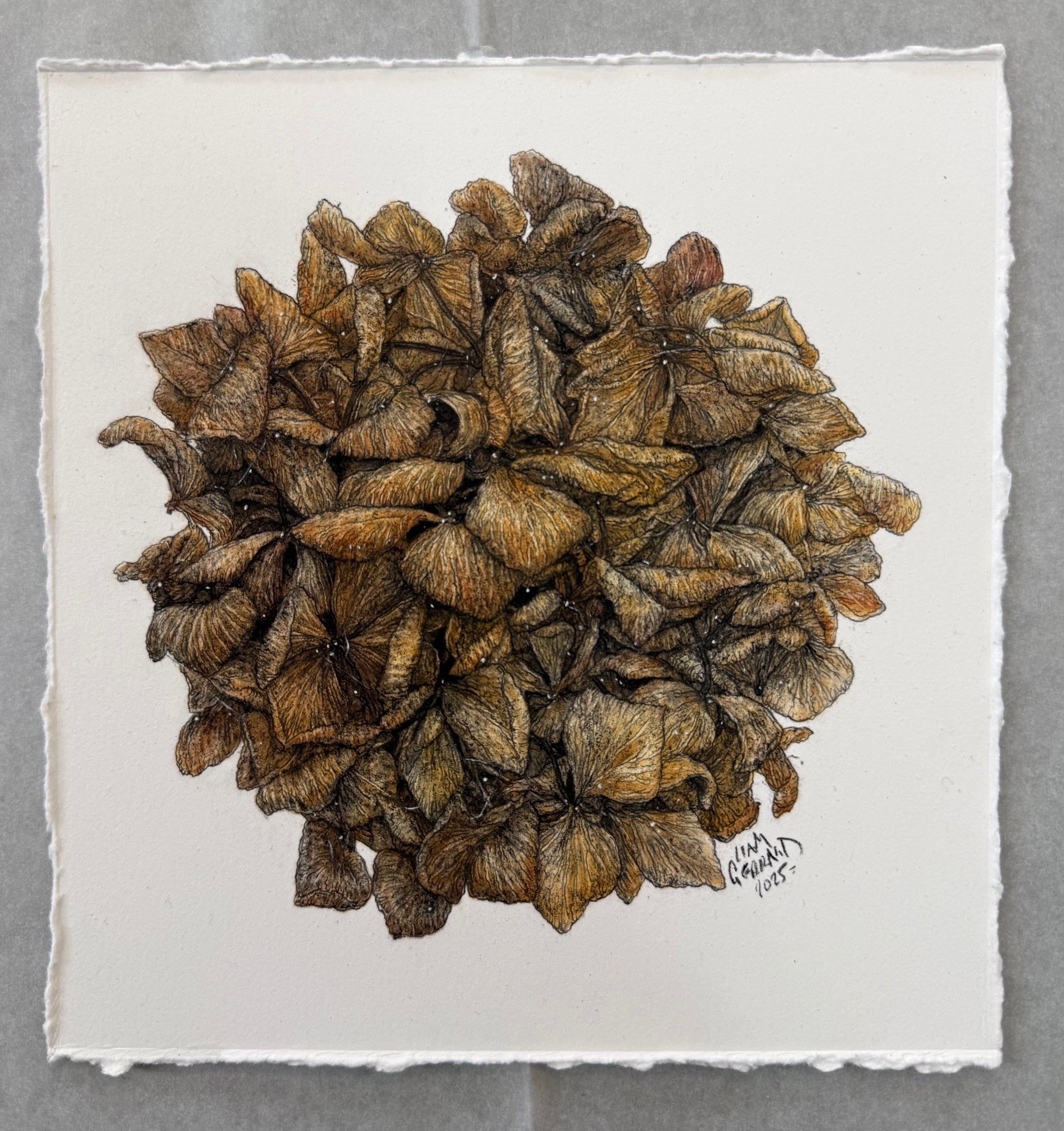 'untitled' pastel & charcoal on fine art paper, 200 x 220 mm uf