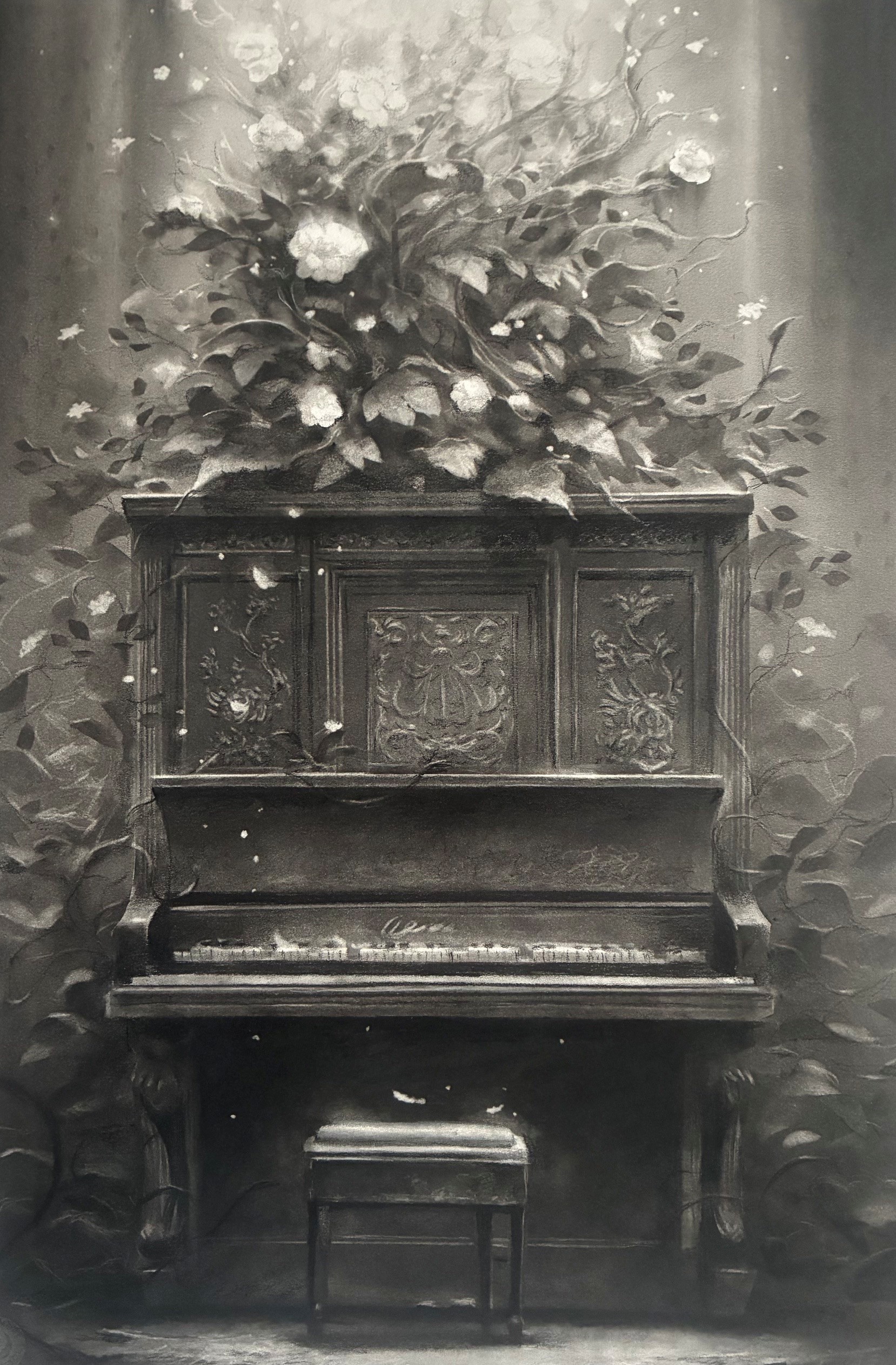 'The Last Song' charcoal on fine art paper, 390 x 560mm uf