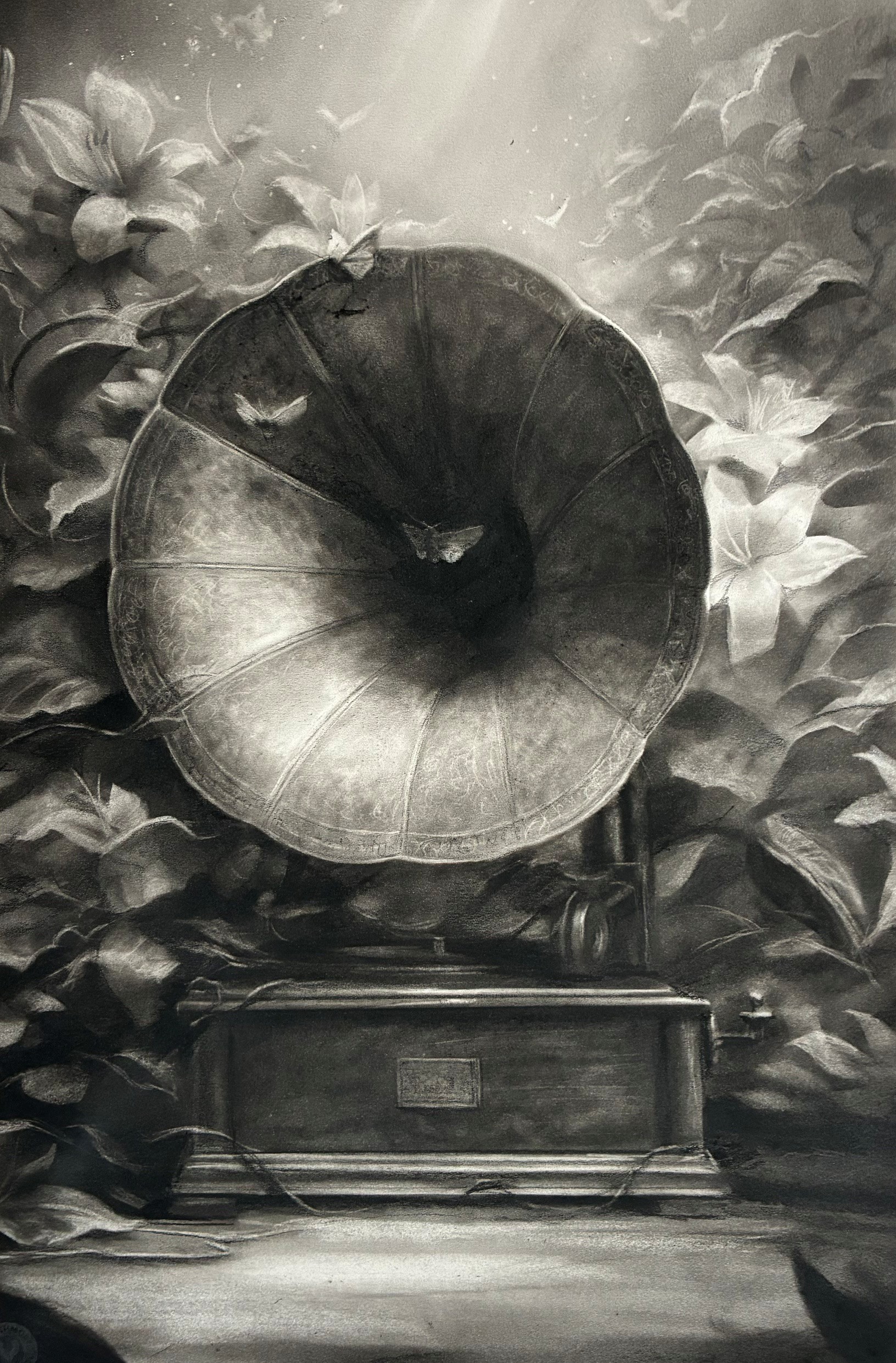 'His Masters Voice" charcoal on fine art paper, 390 x 560 mm uf