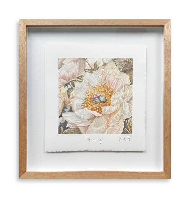 'Of the Day' watercolour on fine art paper, framed 285 x 300mm 