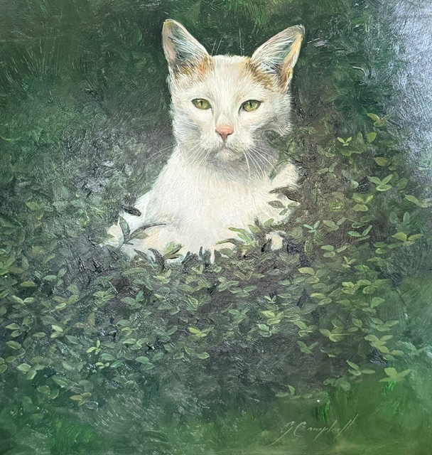 “White Cat” – oil on aluminium, 290 x 300 mm unframed