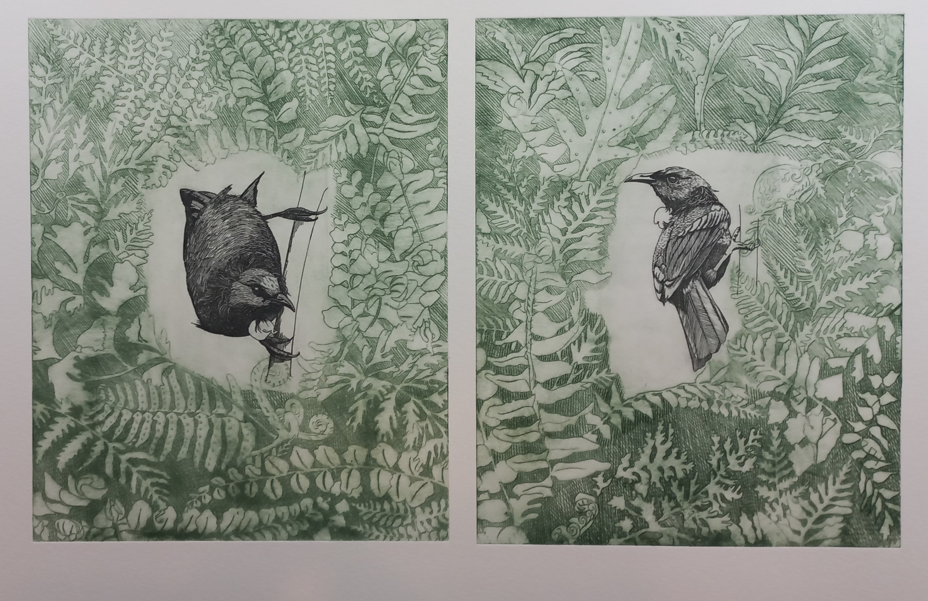 'Tui Pair' etching & drypoint on fine art paper (19/50)