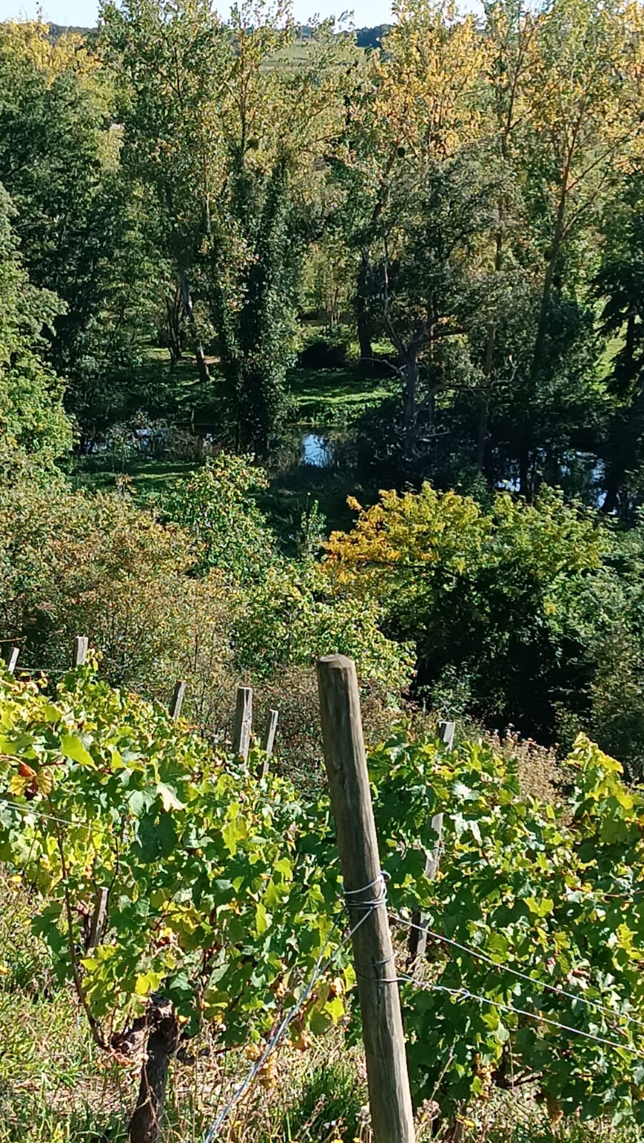 Vue aérienne du domaine 4Paimparé  