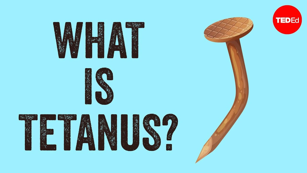 Source: TEDEd's YouTube thumbnail. A rusty nail on a blue background with the text "What is Tetanus?" and the TED-Ed logo.