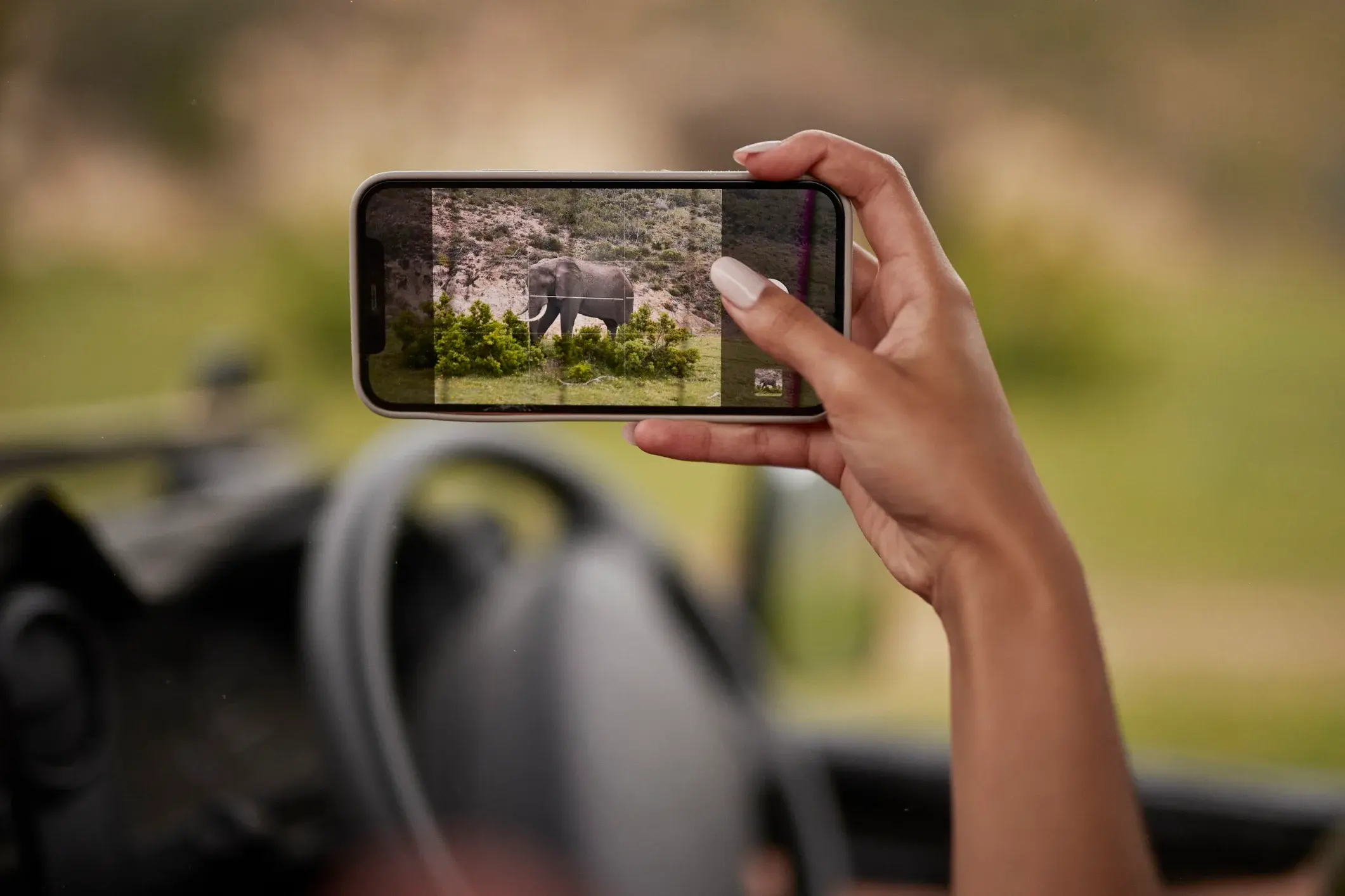 A person taking a photo of an elephant on a safari.