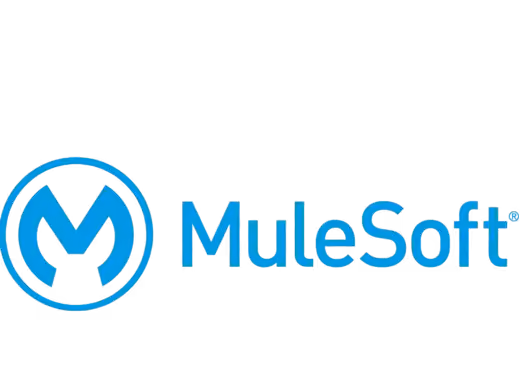 Our Expertise | Mule Soft - Tvarana