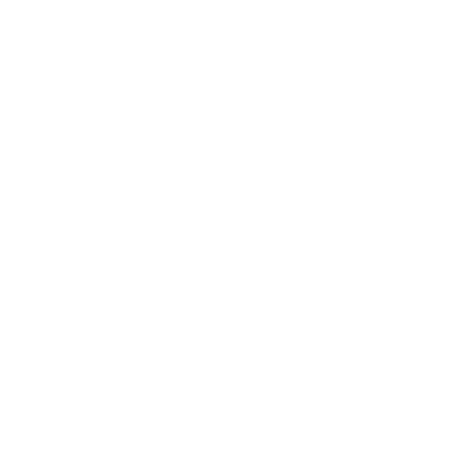 Icon Plus weiß