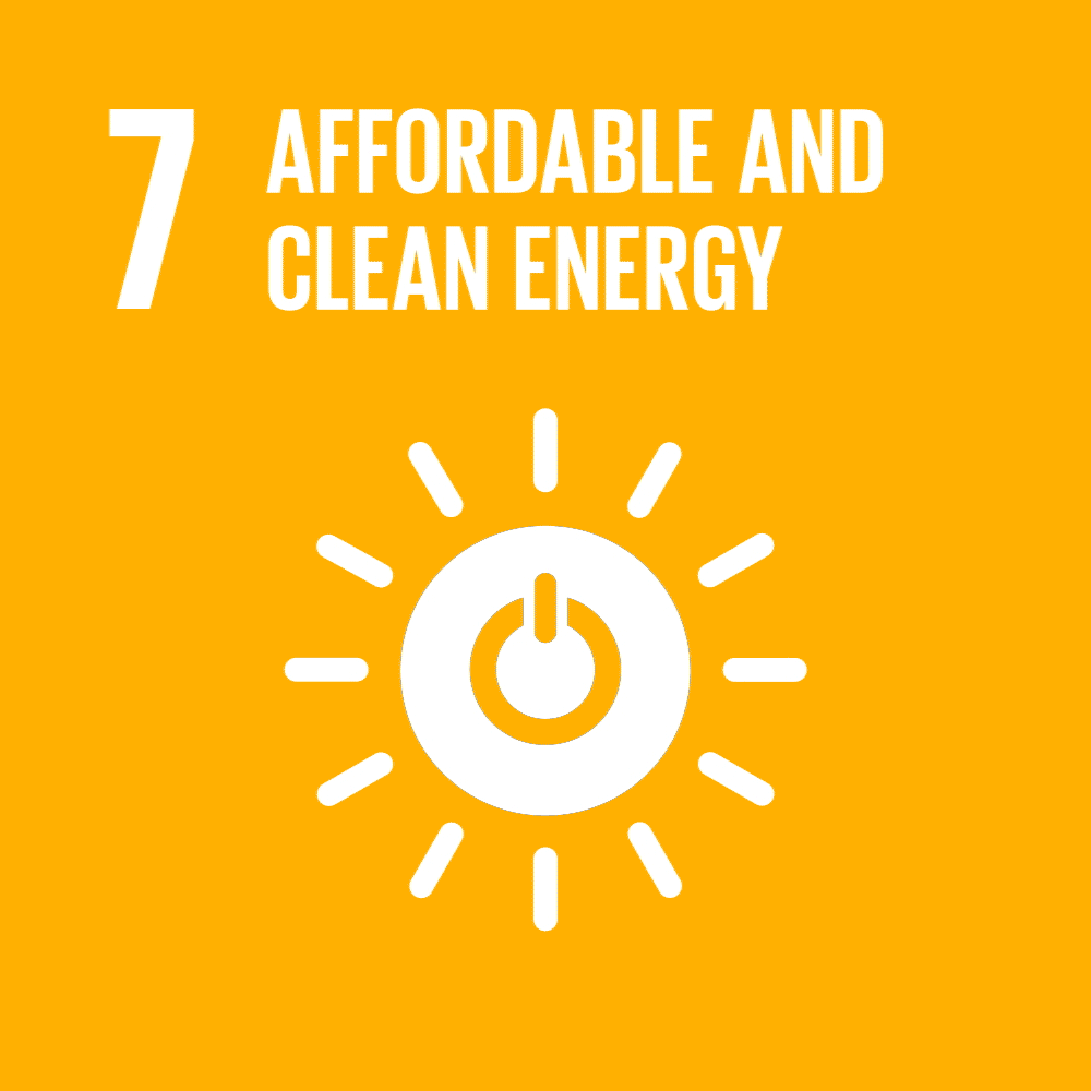 sdg icon