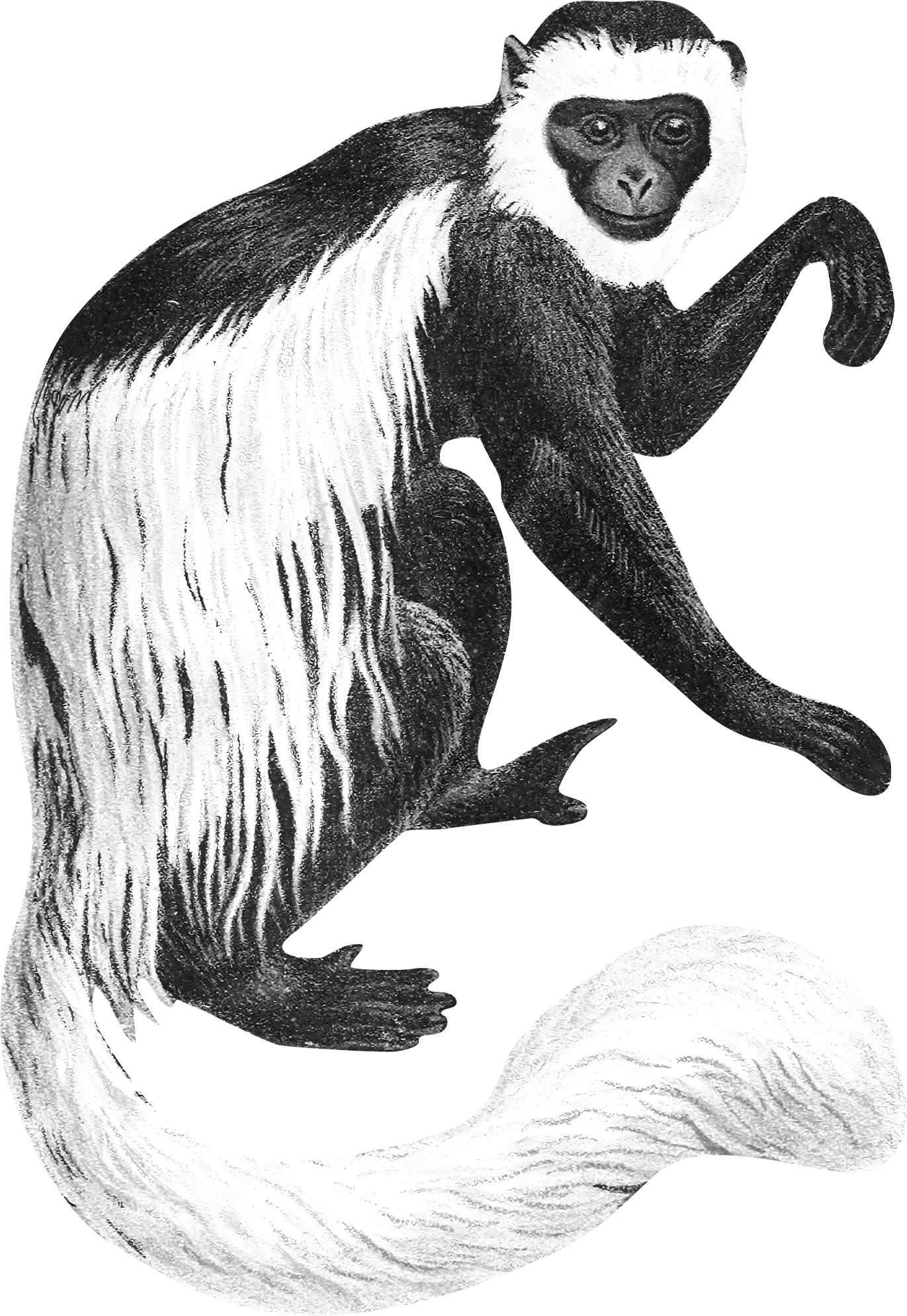 Business coach for women entrepreneurs discussing sales systems and leadership