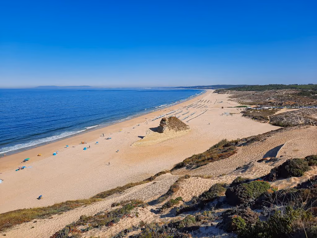 Wide sandy beach with blue umbrellas, calm ocean, and clear blue sky viewed from a dune with vegetation.