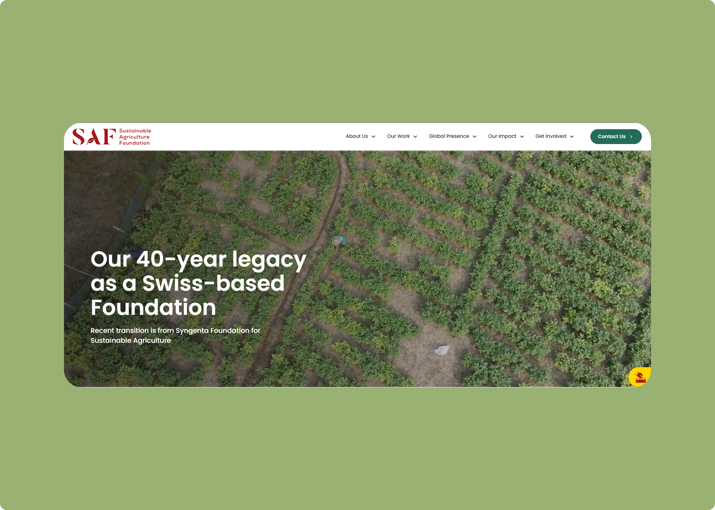 SAF - Website Design & Developement 
