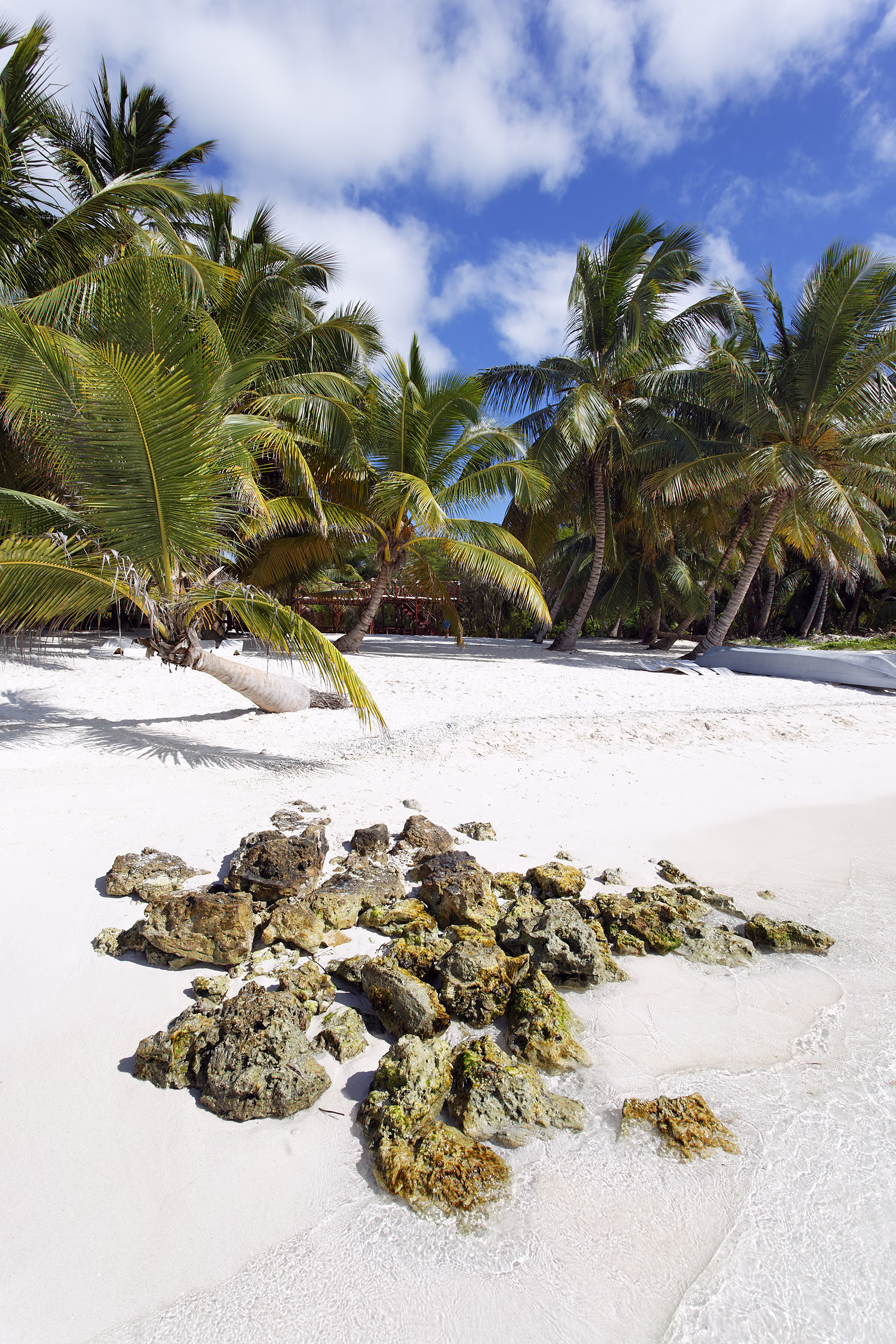 Plage sauvage de Nosy Fanihy à Nosy Be bordée d'eaux cristallines et de végétation tropicale