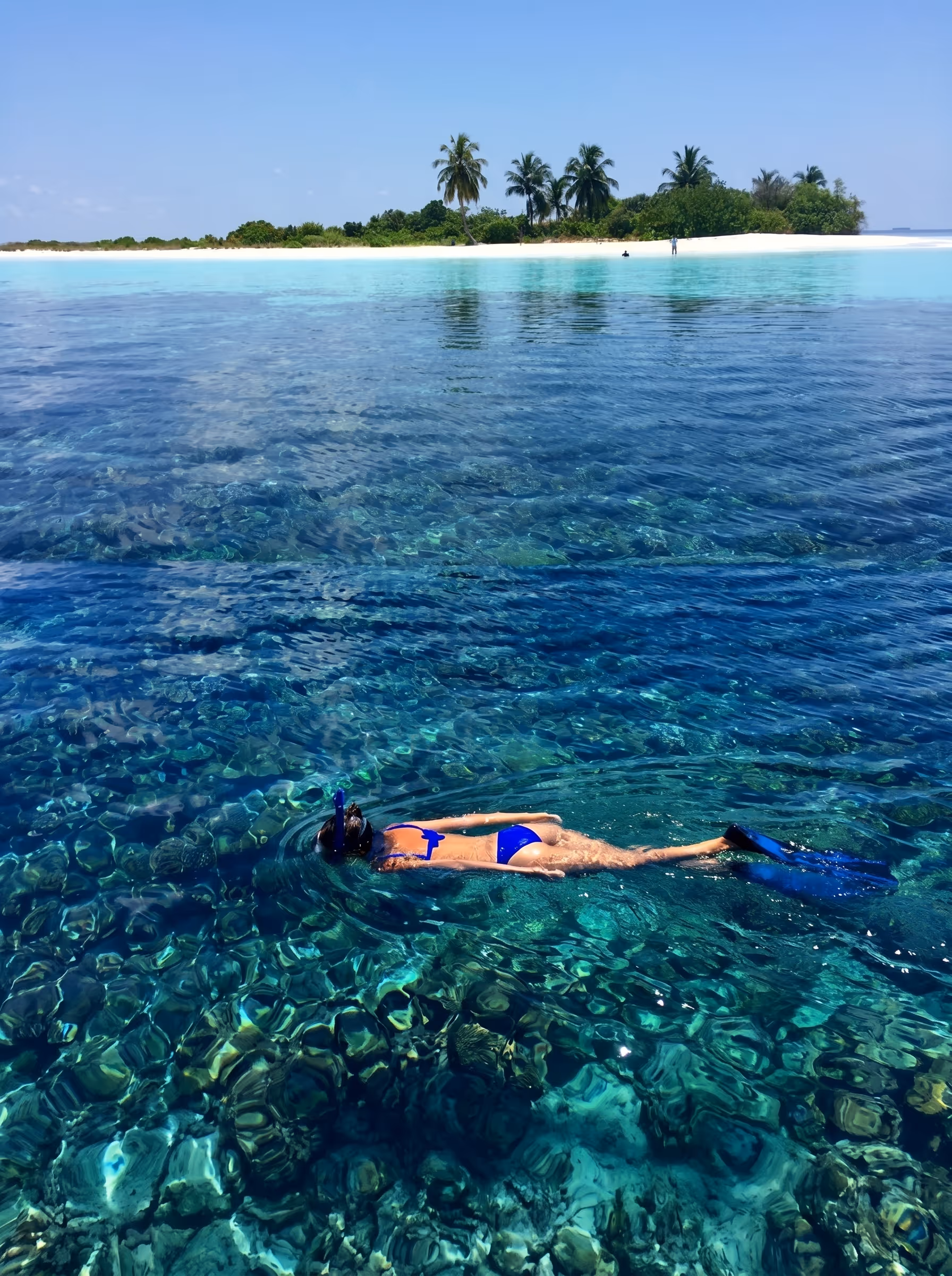 Snorkeling autour de Nosy Fanihy à Nosy Be dans des eaux transparentes riches en poissons tropicaux