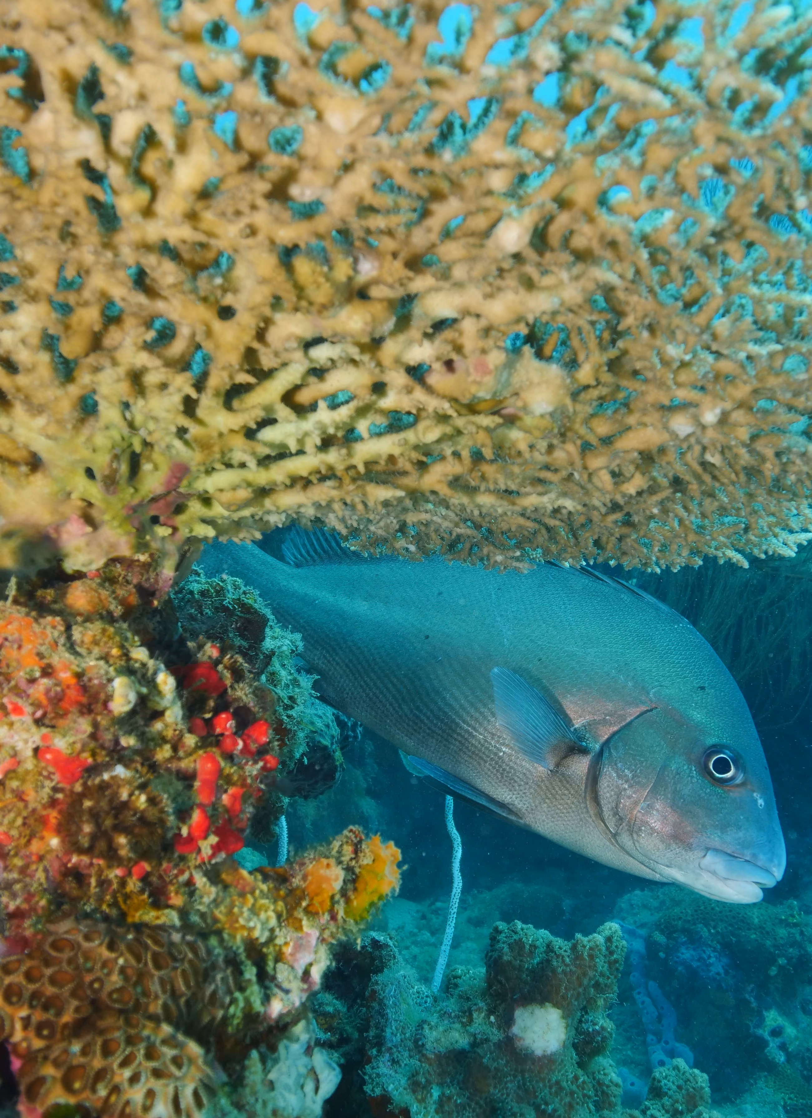 découverte des eaux cristalines de Nosy Fasy