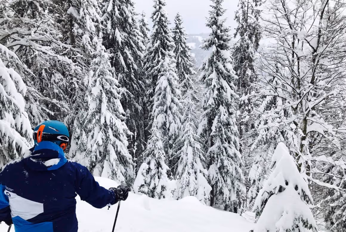 Skifahrer blickt auf eine verschneite Waldschneise zwischen schneebedeckten Tannen.
